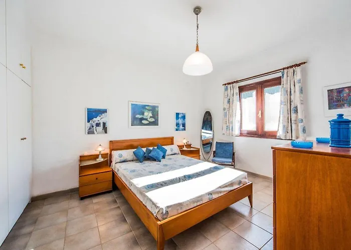 Athena By Halu! Sani